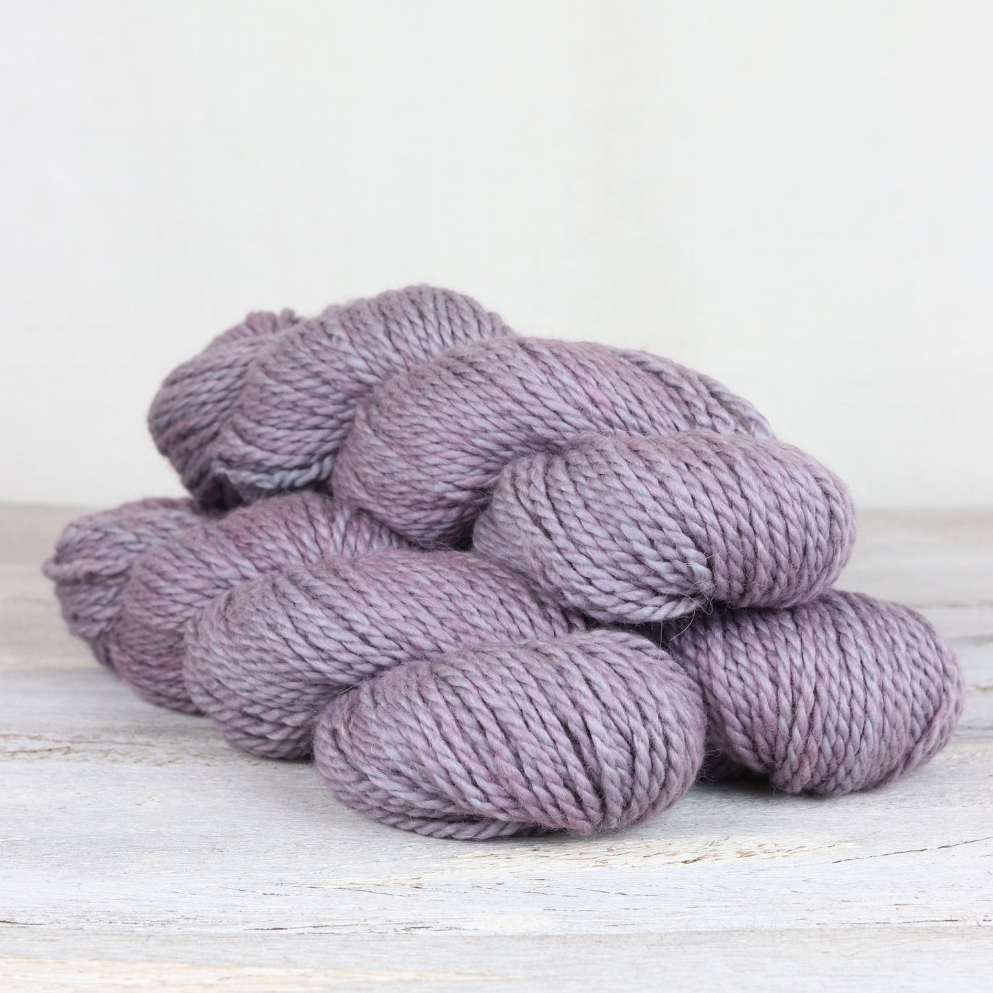 TUNDRA Allium