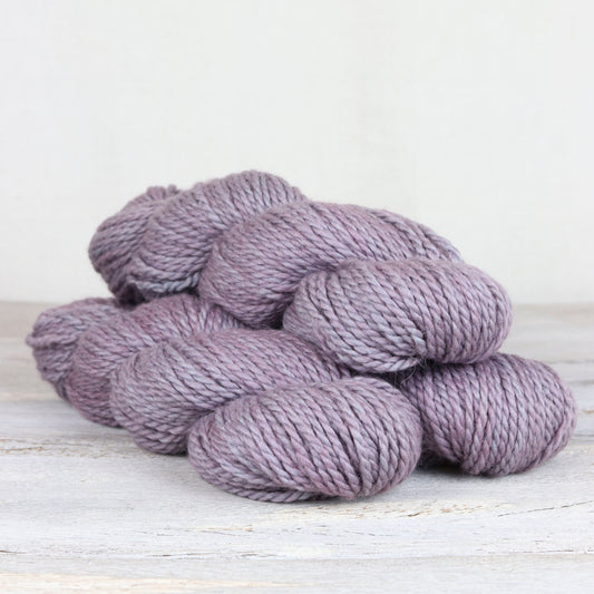 TUNDRA Allium